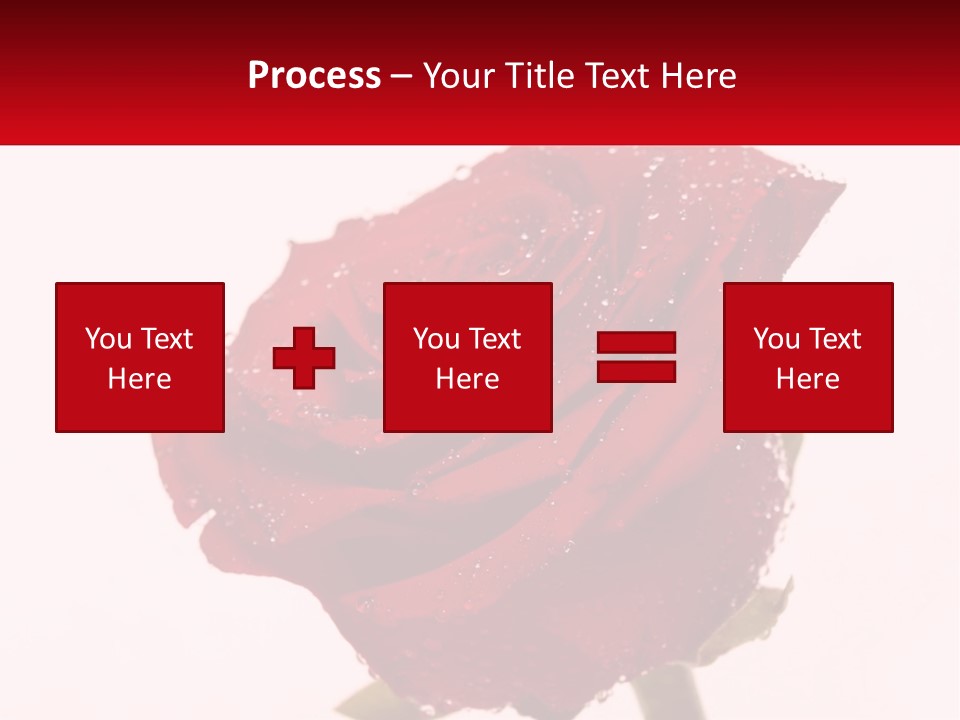 A Red Rose With Drops Of Water On It PowerPoint Template