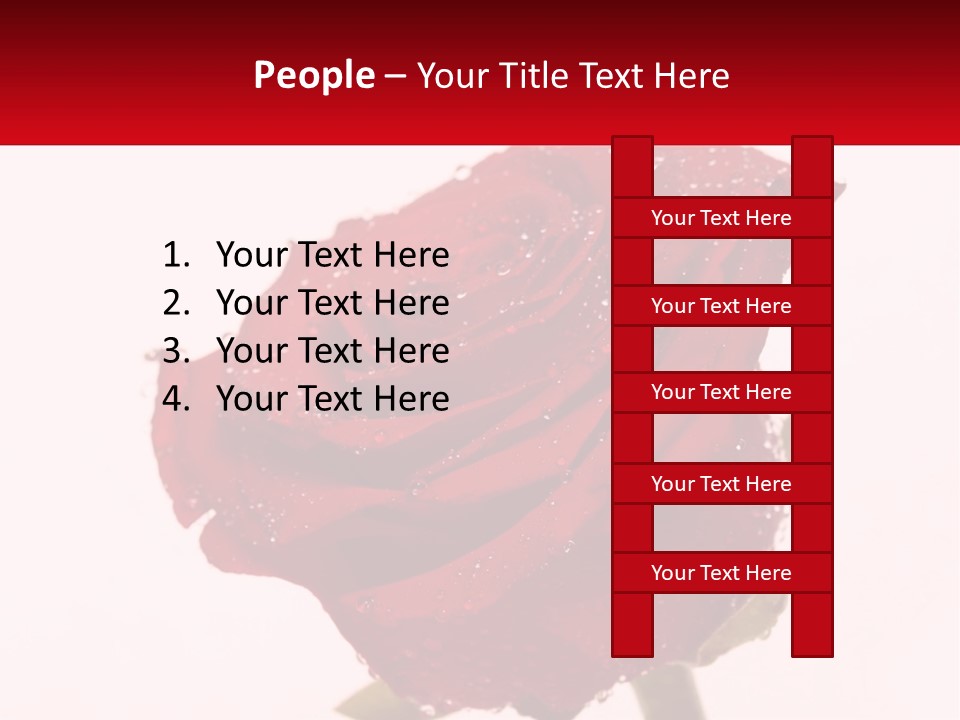 A Red Rose With Drops Of Water On It PowerPoint Template