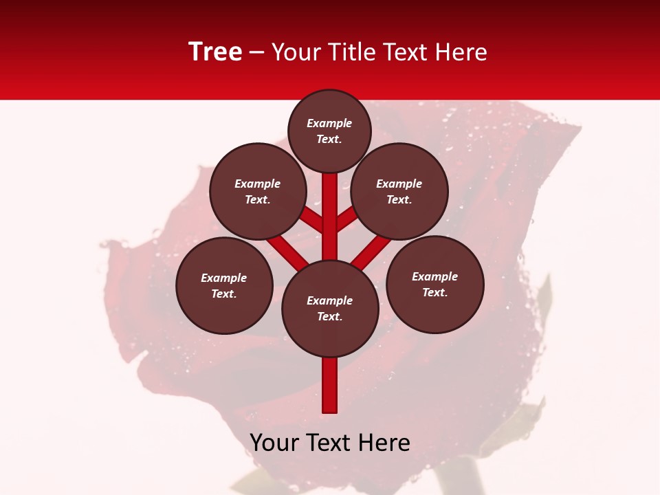 A Red Rose With Drops Of Water On It PowerPoint Template