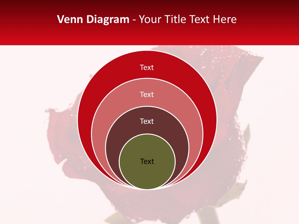 A Red Rose With Drops Of Water On It PowerPoint Template