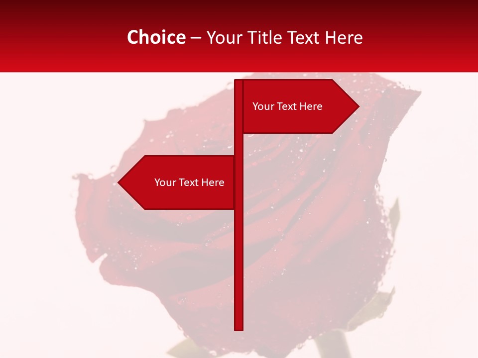 A Red Rose With Drops Of Water On It PowerPoint Template