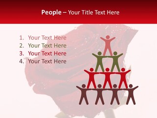 A Red Rose With Drops Of Water On It PowerPoint Template