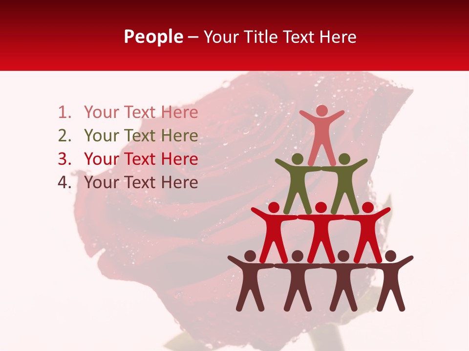 A Red Rose With Drops Of Water On It PowerPoint Template