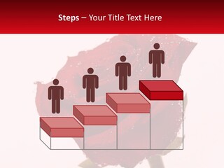 A Red Rose With Drops Of Water On It PowerPoint Template