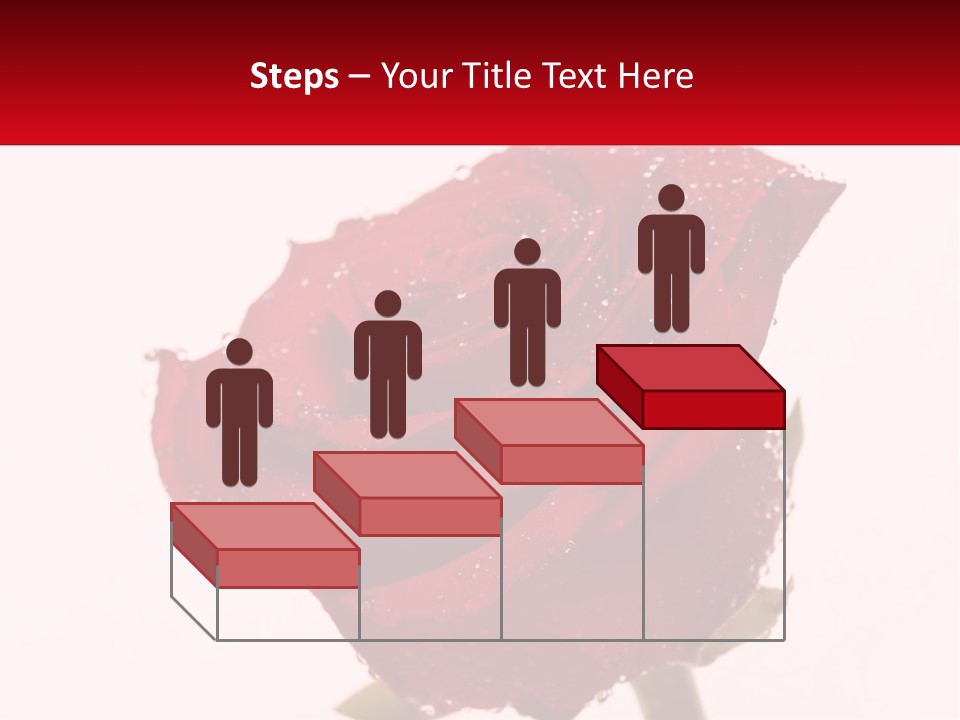 A Red Rose With Drops Of Water On It PowerPoint Template