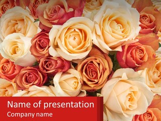 A Bunch Of Roses With A Red Background PowerPoint Template