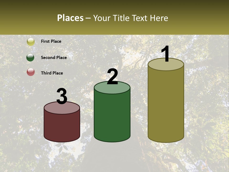 A Large Tree In The Middle Of A Forest PowerPoint Template