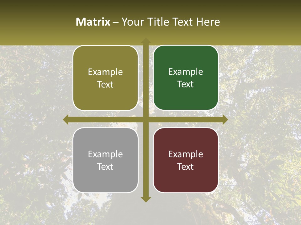 A Large Tree In The Middle Of A Forest PowerPoint Template