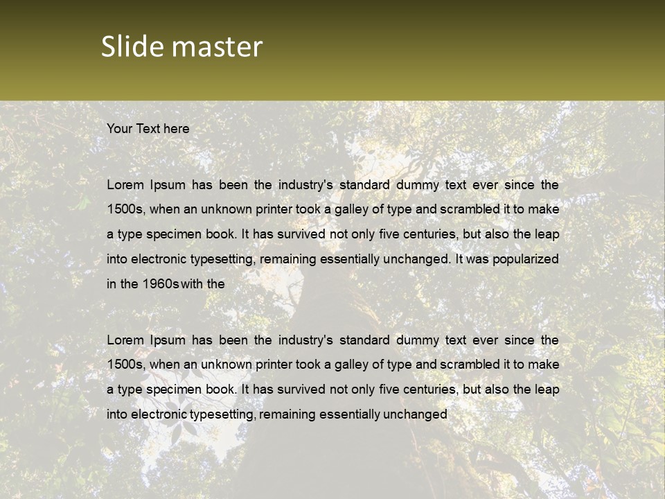 A Large Tree In The Middle Of A Forest PowerPoint Template
