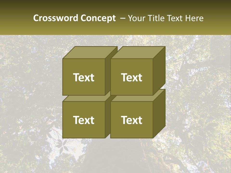 A Large Tree In The Middle Of A Forest PowerPoint Template