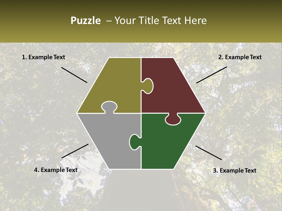 A Large Tree In The Middle Of A Forest PowerPoint Template