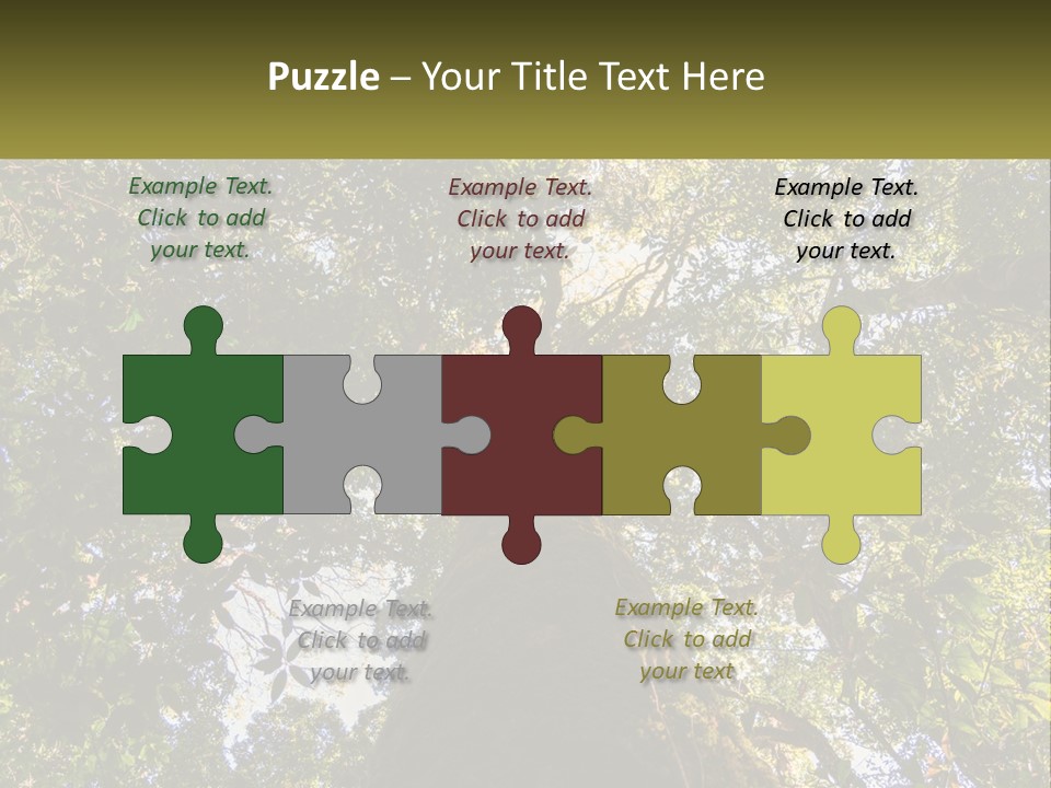 A Large Tree In The Middle Of A Forest PowerPoint Template