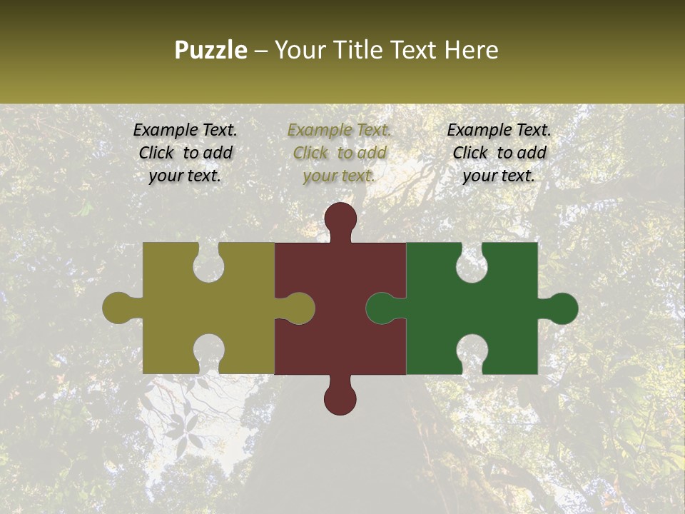 A Large Tree In The Middle Of A Forest PowerPoint Template