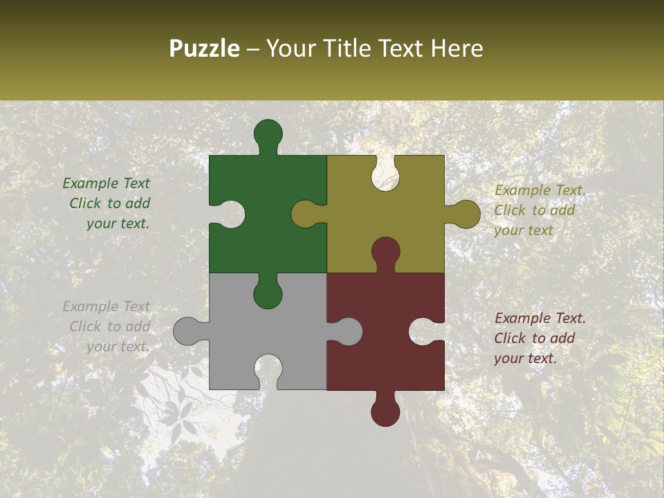 A Large Tree In The Middle Of A Forest PowerPoint Template