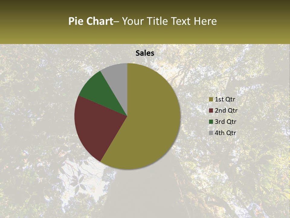 A Large Tree In The Middle Of A Forest PowerPoint Template