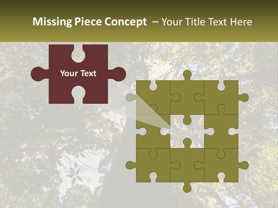 A Large Tree In The Middle Of A Forest PowerPoint Template