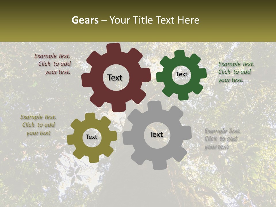 A Large Tree In The Middle Of A Forest PowerPoint Template
