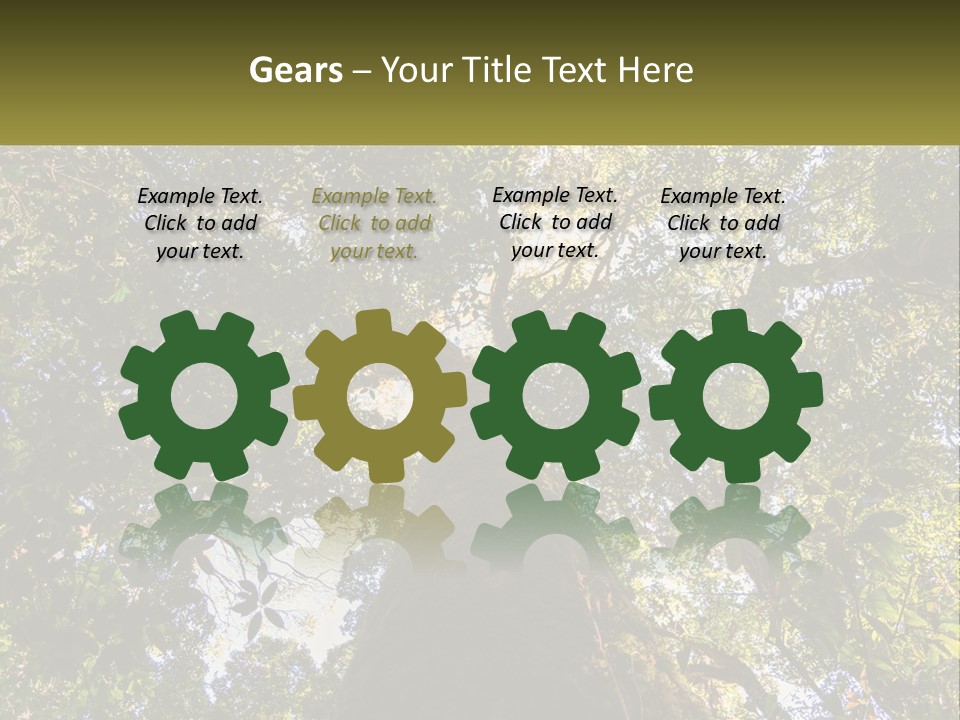 A Large Tree In The Middle Of A Forest PowerPoint Template