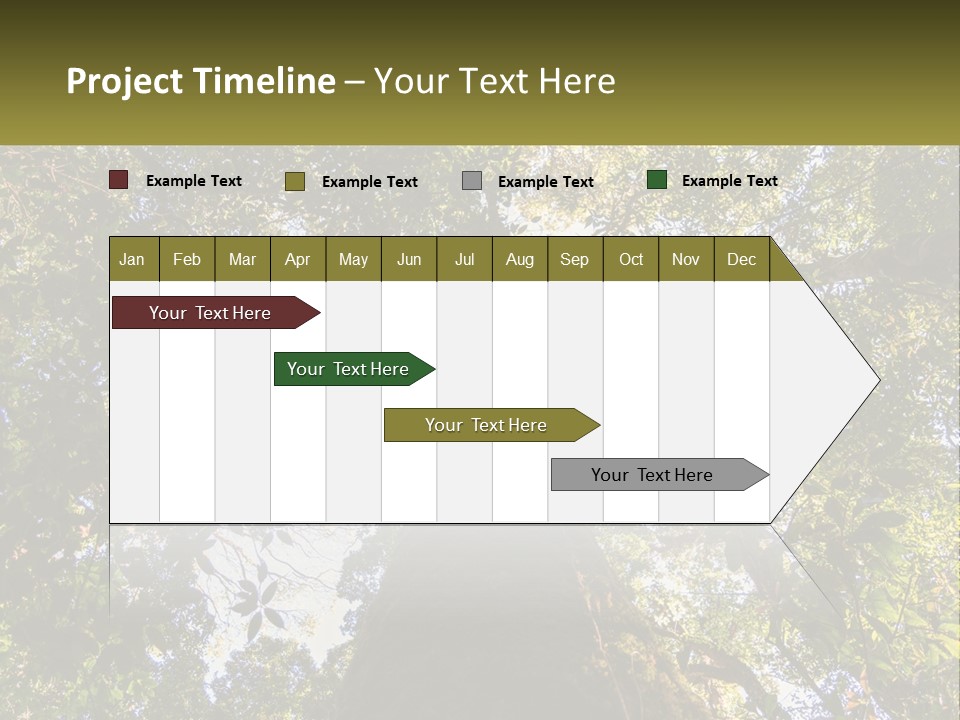 A Large Tree In The Middle Of A Forest PowerPoint Template