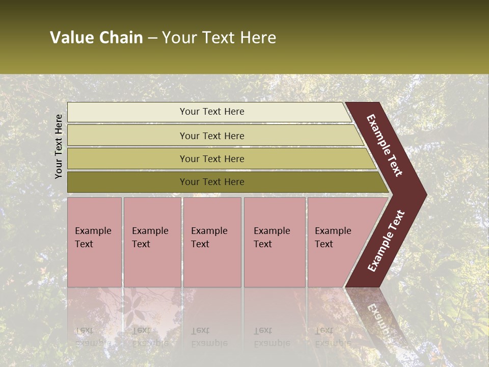 A Large Tree In The Middle Of A Forest PowerPoint Template