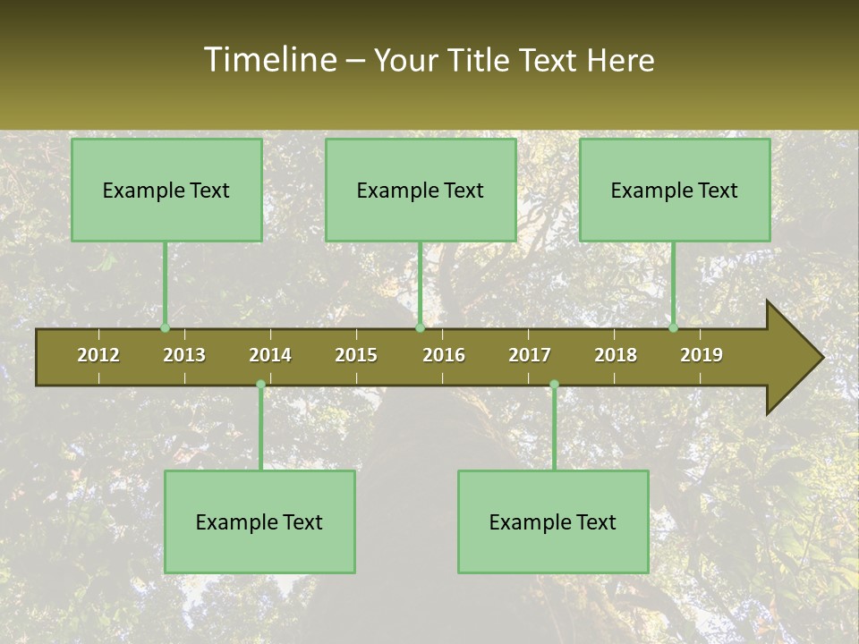 A Large Tree In The Middle Of A Forest PowerPoint Template