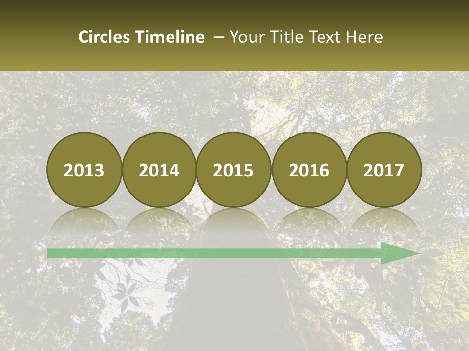 A Large Tree In The Middle Of A Forest PowerPoint Template