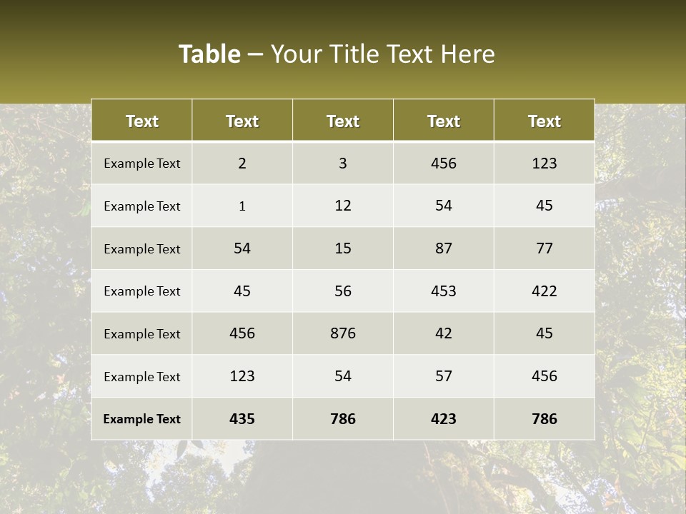A Large Tree In The Middle Of A Forest PowerPoint Template