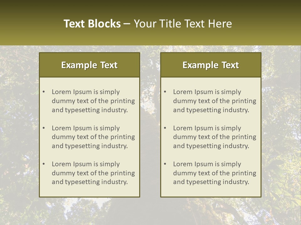 A Large Tree In The Middle Of A Forest PowerPoint Template