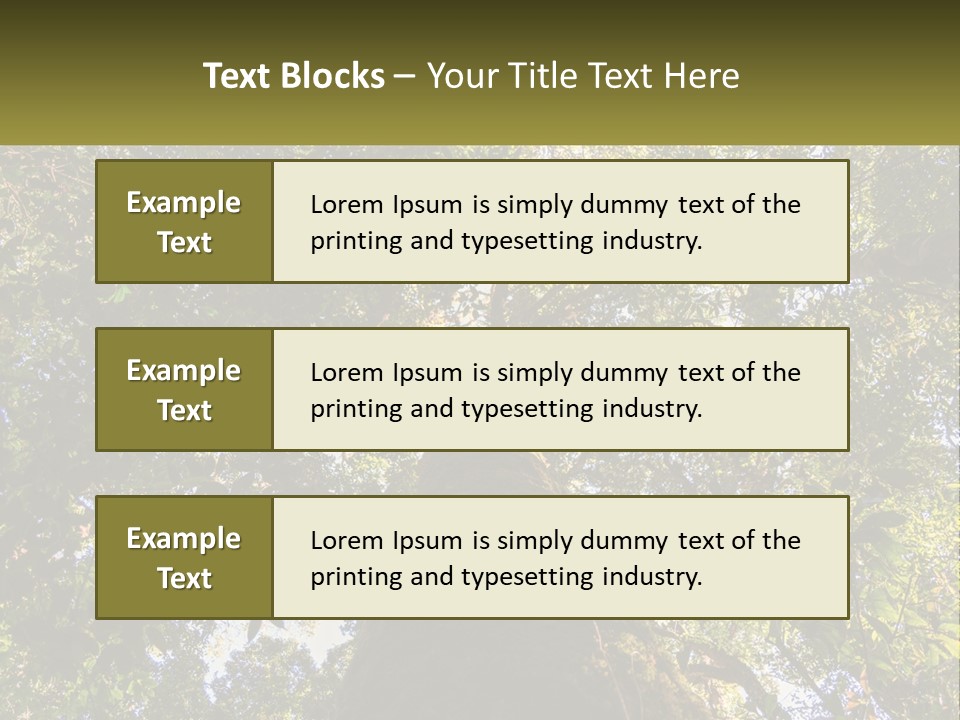 A Large Tree In The Middle Of A Forest PowerPoint Template