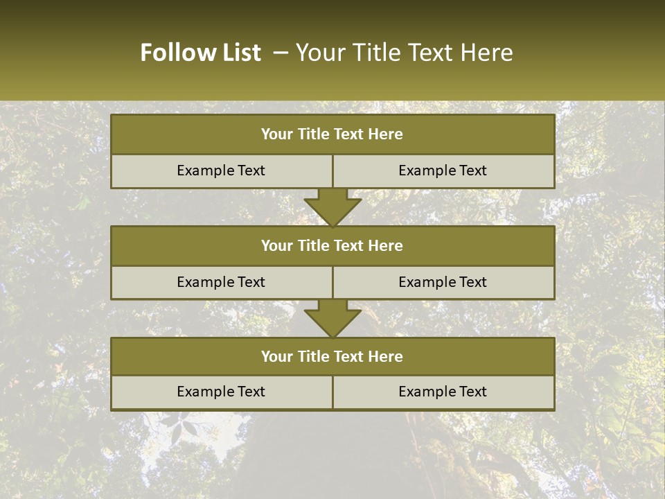 A Large Tree In The Middle Of A Forest PowerPoint Template
