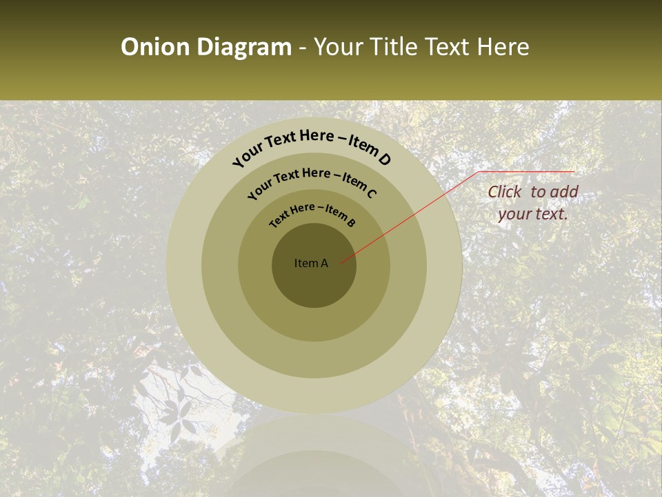 A Large Tree In The Middle Of A Forest PowerPoint Template