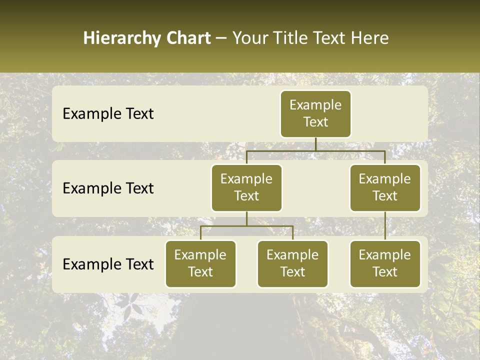 A Large Tree In The Middle Of A Forest PowerPoint Template