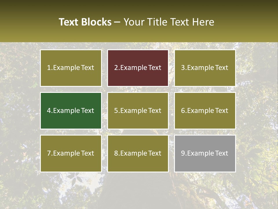 A Large Tree In The Middle Of A Forest PowerPoint Template