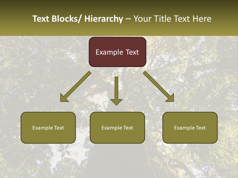 A Large Tree In The Middle Of A Forest PowerPoint Template