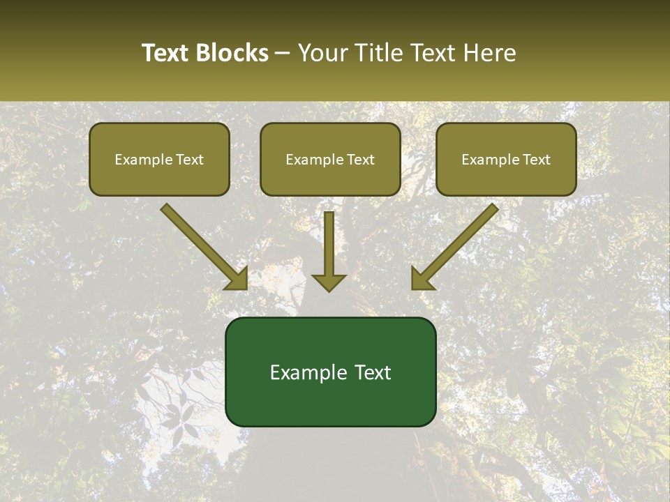 A Large Tree In The Middle Of A Forest PowerPoint Template
