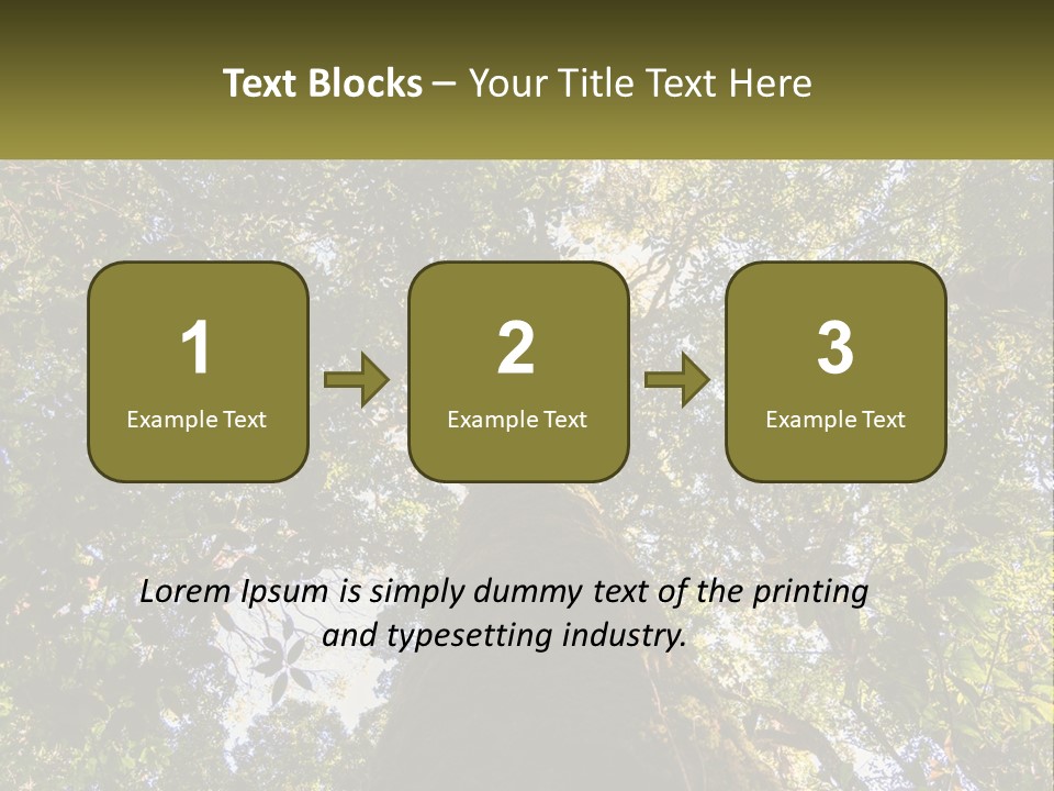 A Large Tree In The Middle Of A Forest PowerPoint Template