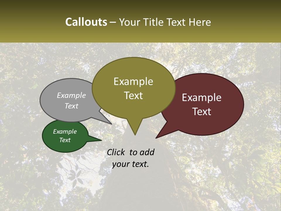 A Large Tree In The Middle Of A Forest PowerPoint Template