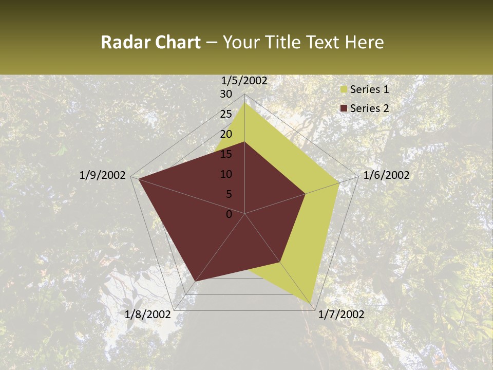 A Large Tree In The Middle Of A Forest PowerPoint Template