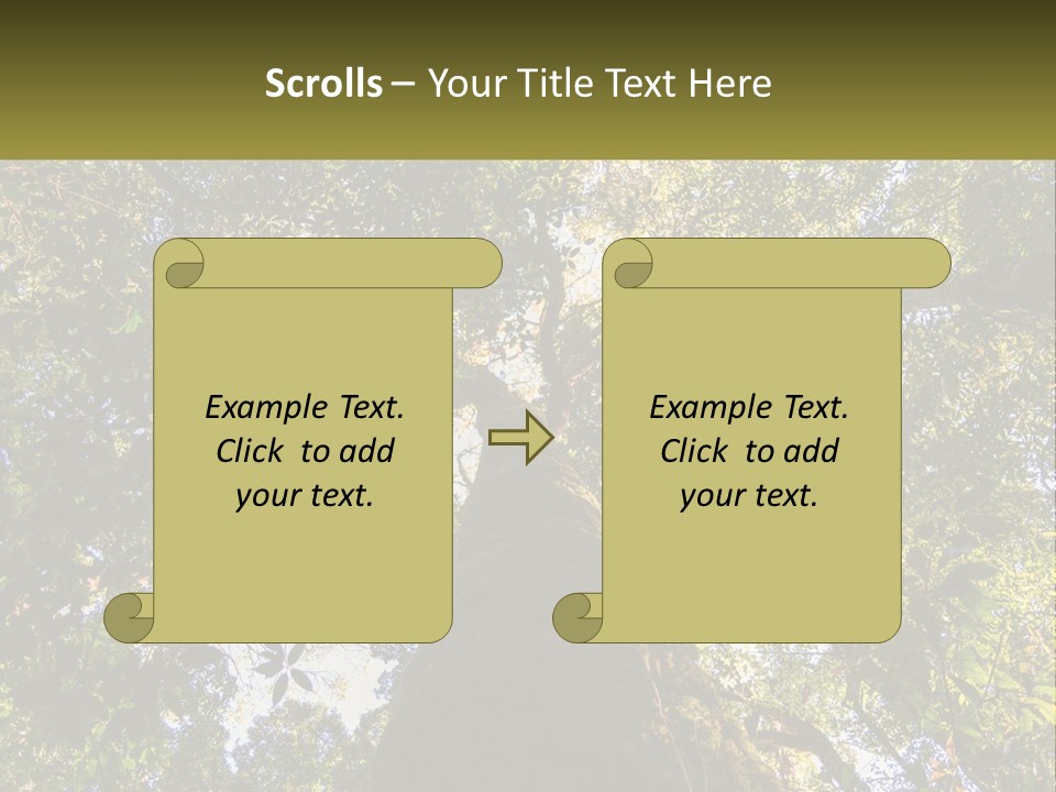 A Large Tree In The Middle Of A Forest PowerPoint Template