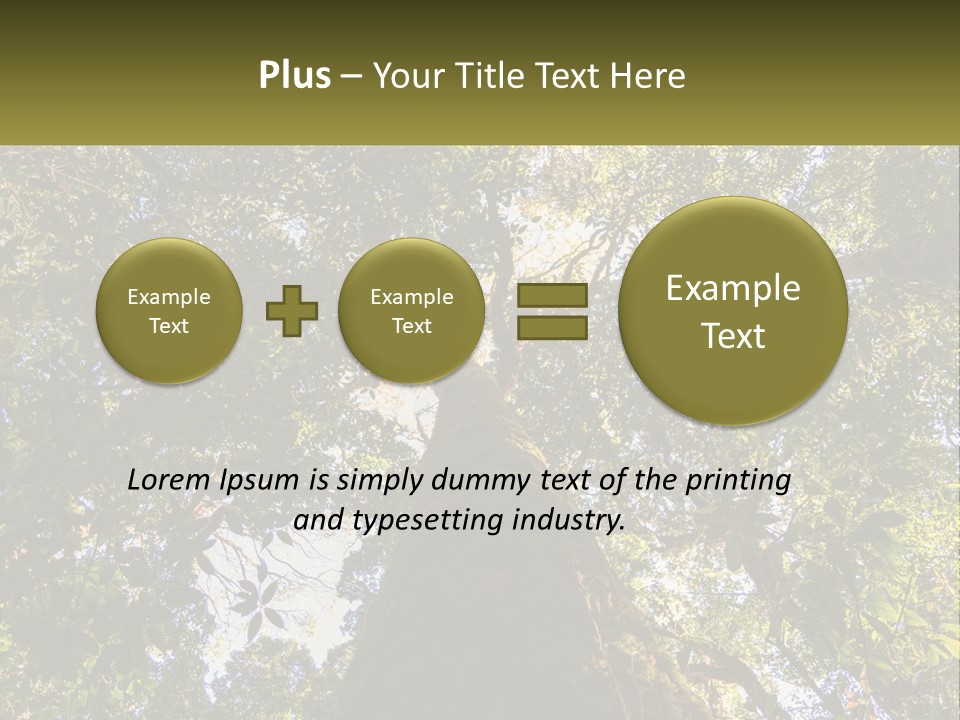 A Large Tree In The Middle Of A Forest PowerPoint Template