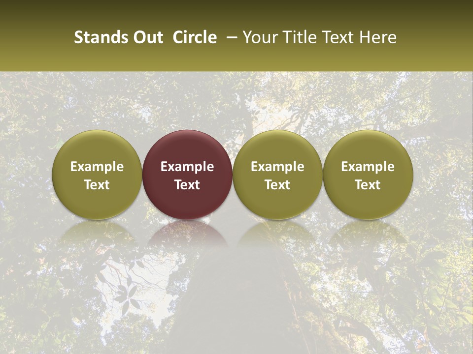A Large Tree In The Middle Of A Forest PowerPoint Template