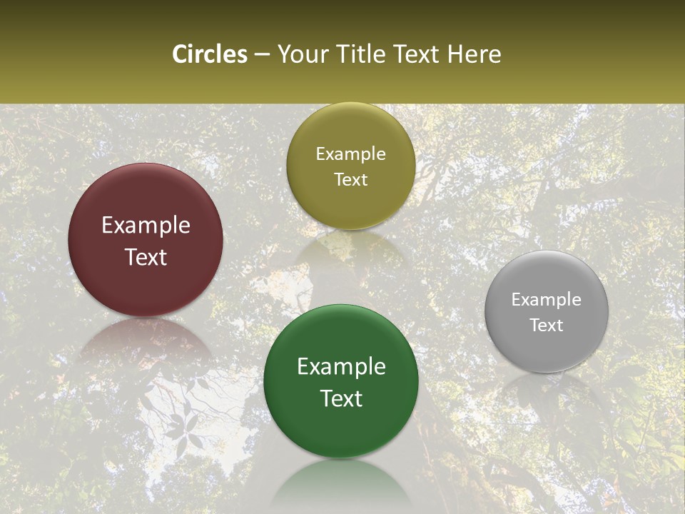 A Large Tree In The Middle Of A Forest PowerPoint Template