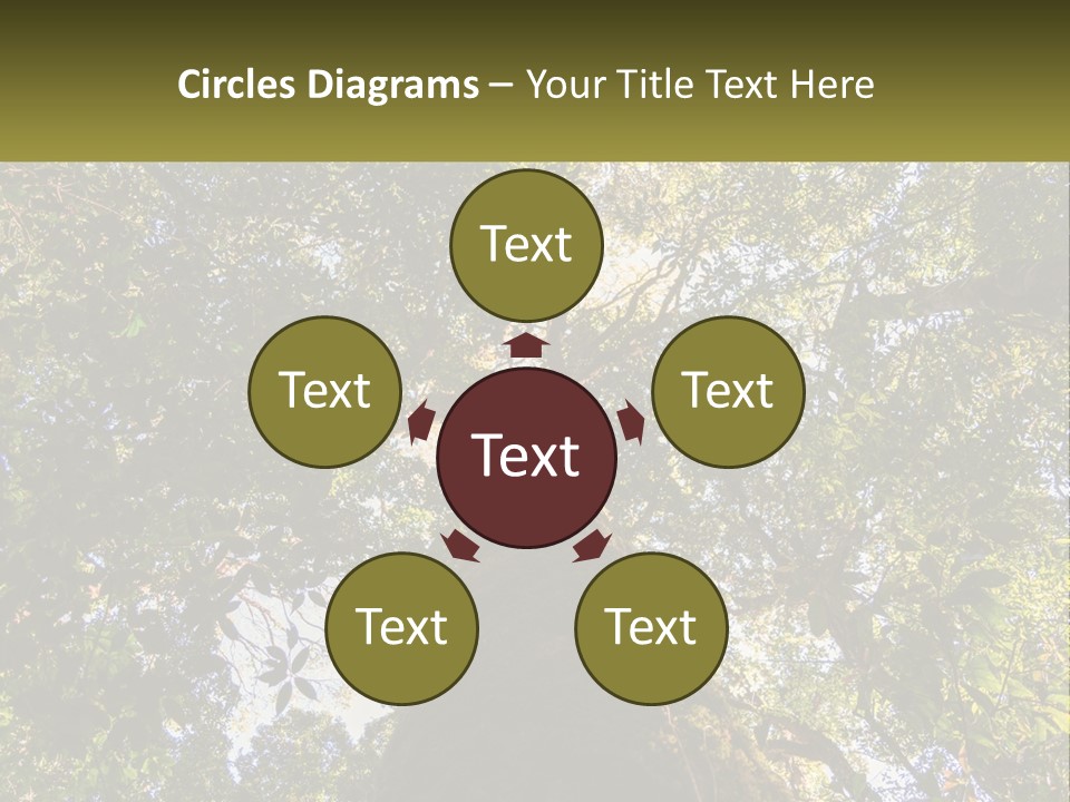 A Large Tree In The Middle Of A Forest PowerPoint Template