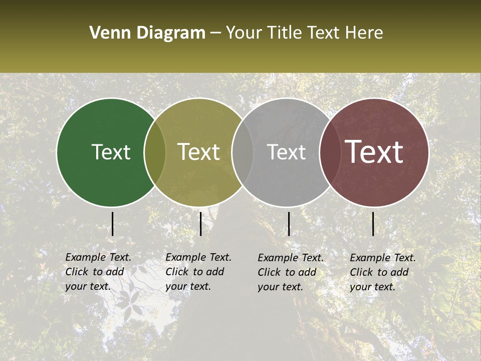 A Large Tree In The Middle Of A Forest PowerPoint Template