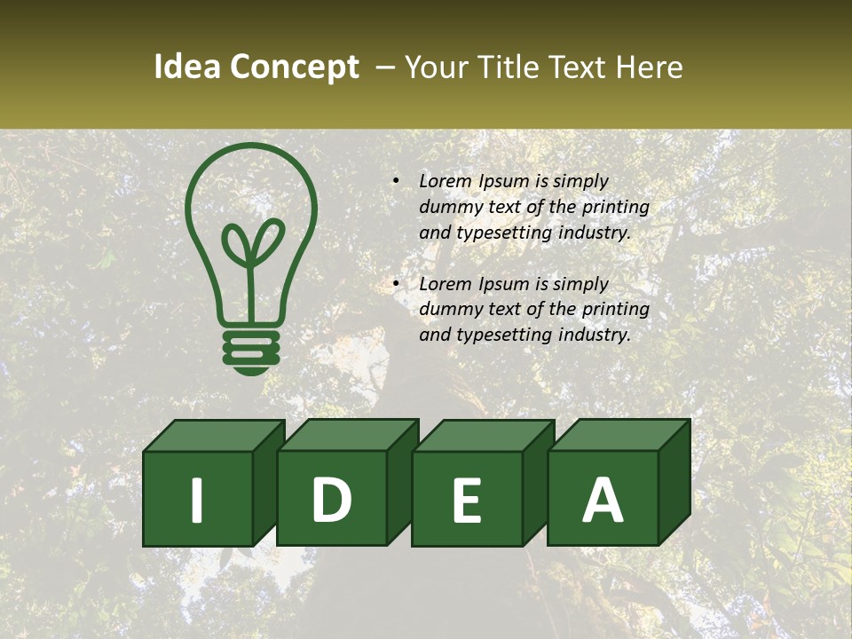 A Large Tree In The Middle Of A Forest PowerPoint Template