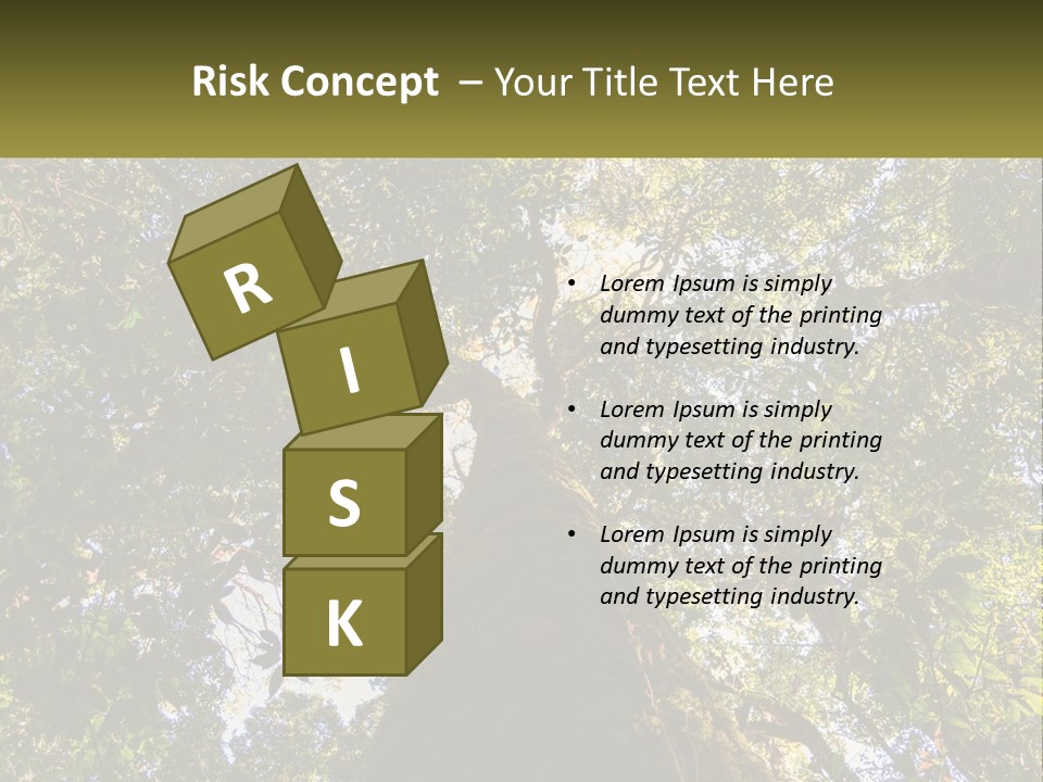 A Large Tree In The Middle Of A Forest PowerPoint Template