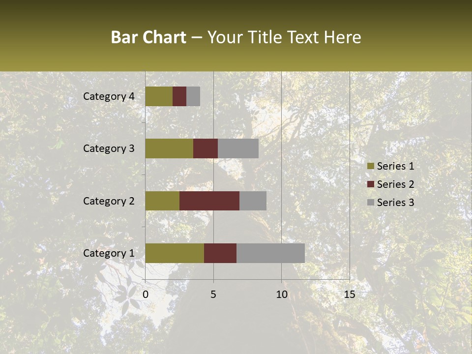 A Large Tree In The Middle Of A Forest PowerPoint Template