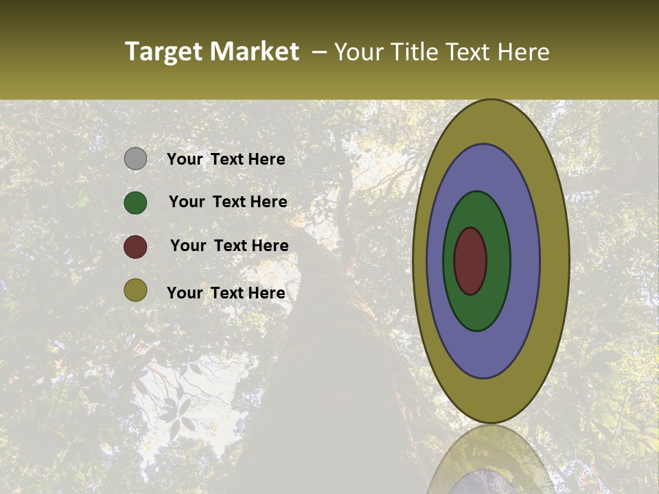A Large Tree In The Middle Of A Forest PowerPoint Template
