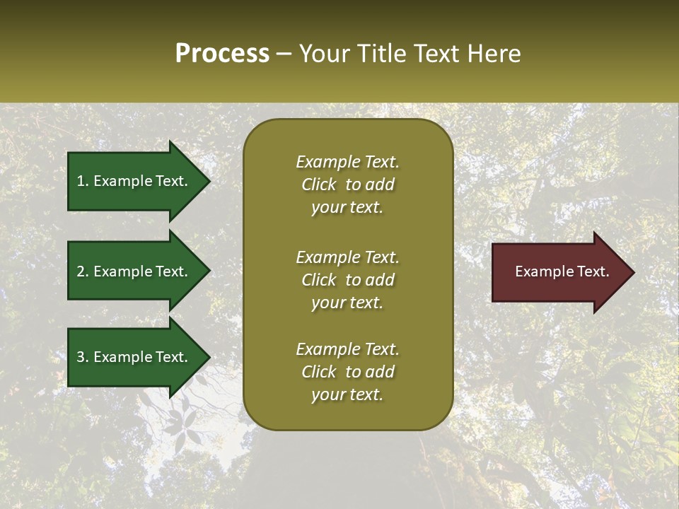 A Large Tree In The Middle Of A Forest PowerPoint Template