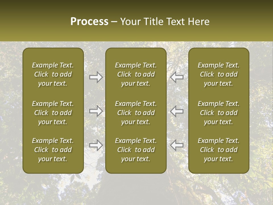 A Large Tree In The Middle Of A Forest PowerPoint Template